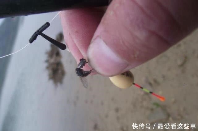 钓白条鱼真是累人，用我分享的方法，只要你下钩，它就在那等你