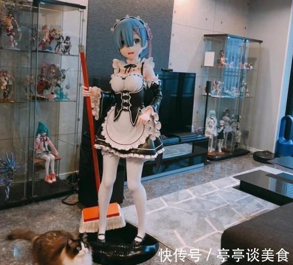 老母亲|千元手办被老母亲当作果盘,还夸做工精致,宅女却只能欲哭无泪