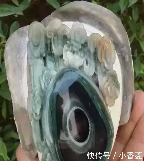 虫子|2亿年前的五条虫子 与大树一起变成了玉石!