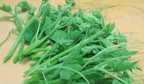 感染性疾病|秋季不补会后悔，抓住时机滋补常吃三种食物，口感丰富营养足