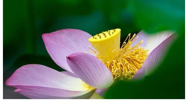 罗辑|《三体》：花花公子的罗辑为什么会深爱着庄颜？