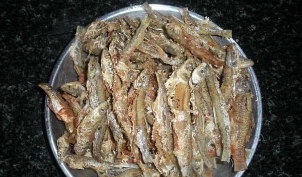 钓白条鱼真是累人,用我分享的方法,只要你下钩,它就在那等你