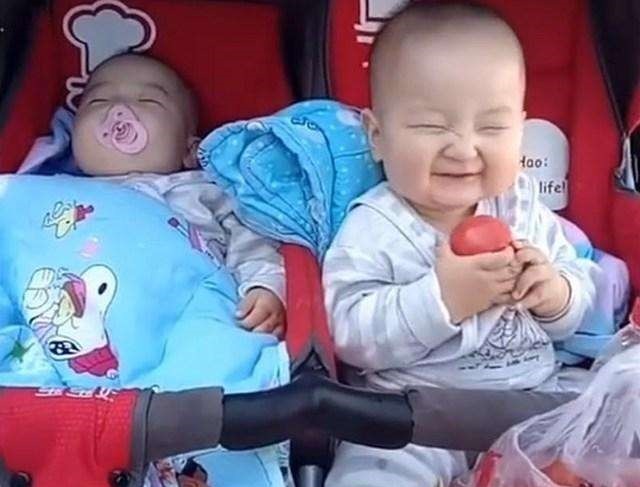 双胞胎|双胞胎哥哥趁弟弟睡着偷吃西红柿, 哥哥得意的表情笑喷妈妈