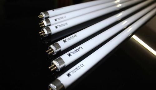 耐阴|家里光照不好又想养花很纠结?此3个方法好用又实在,圆你养花梦