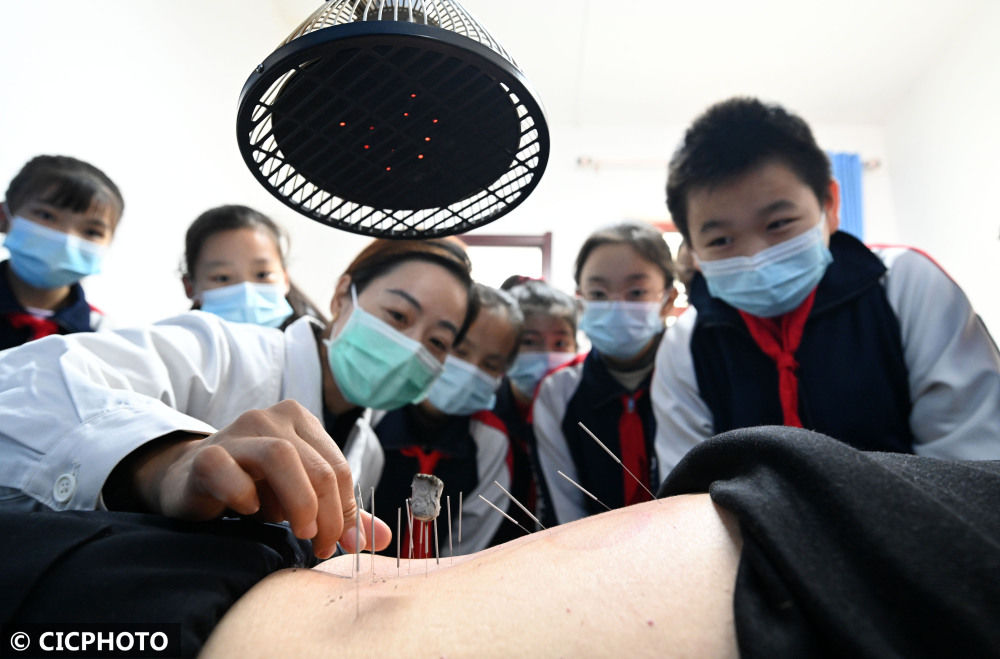 中医|体验中医文化 迎接“世界传统医药日”