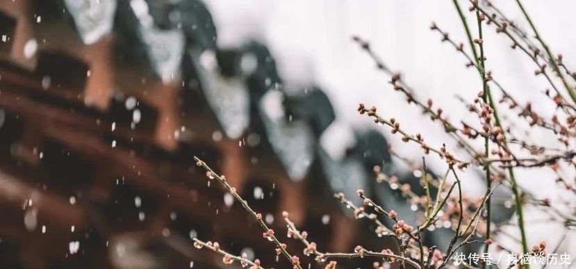 人生|《菜根谭》:凡事退一步,人生更开阔