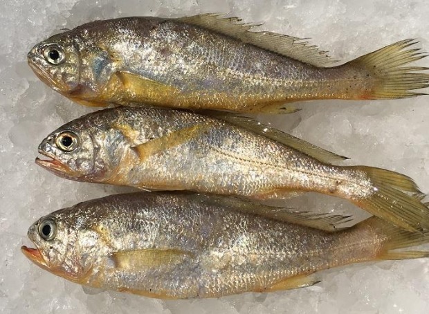 健脾|冬天必吃的4种鱼,通血管、强心脏,补肾又健脾,特别适合老年人