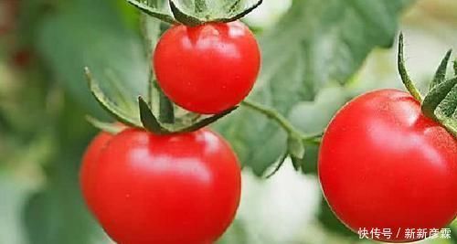 前列腺癌|“前列腺炎症”攻略:这些碱性食物,男性早知道,早点吃,早点好