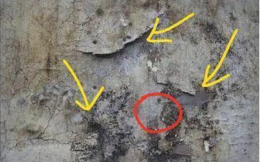 开裂|家装时要不要把墙面铲掉?看完这些你就不纠结了