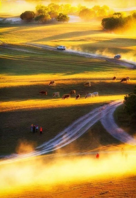  诗词|【诗词鉴赏】古诗词里听秋声，声声入耳，句句在心！