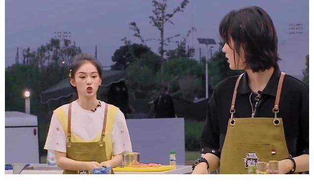 丁真|差评如潮，《中餐厅》如何从弘扬中国美食，沦为顶流矫情烧菜秀的