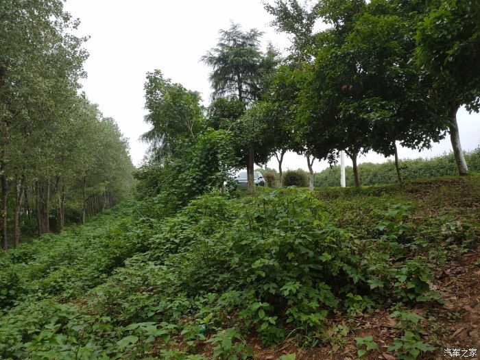 奶茶|没有秋天的第一杯奶茶只有秋天的第一次钓鱼