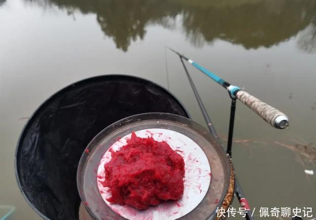 一逗就有口!降温天黑坑偷驴,凭借这一小技巧才拿下坑冠