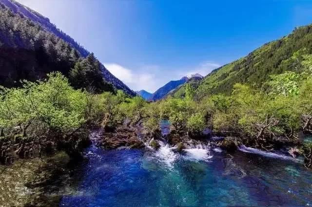 归来|九寨沟：此处归来不看景。