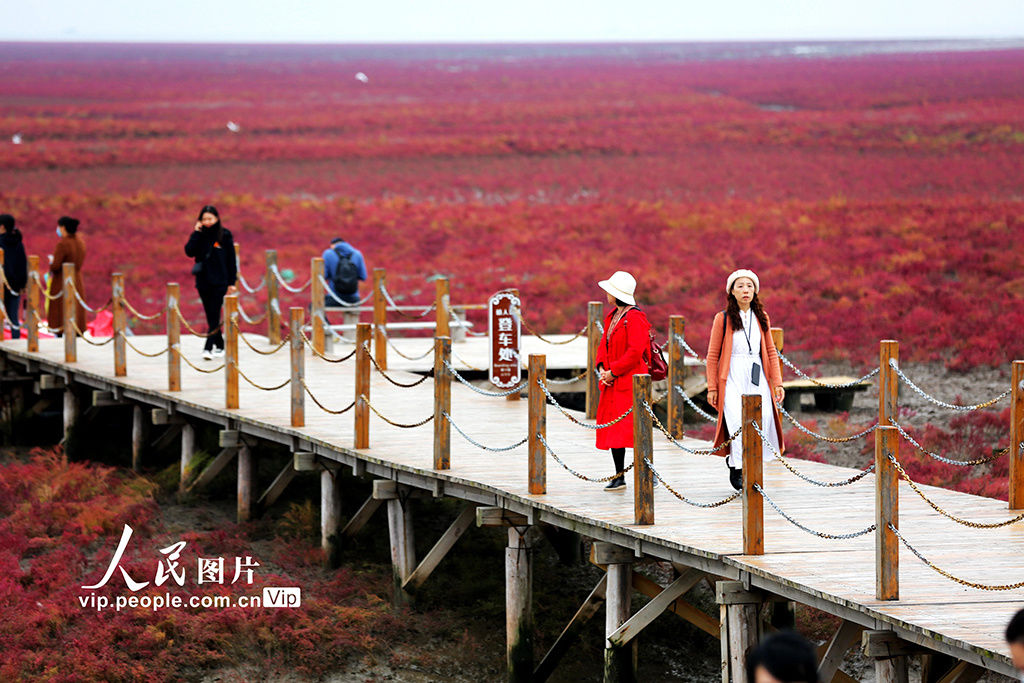 盘锦|辽宁盘锦红海滩国家风景廊道