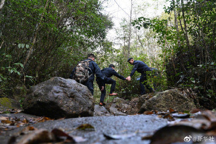 武夷山|武夷山国家公园里的巡山人