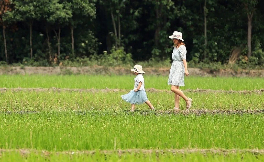 心里的声音|最高级的家庭教育,是教会孩子这8件事