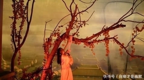 大明1566$为何说土木堡之变是千古迷案?看看前因后果,您不觉得太可疑吗