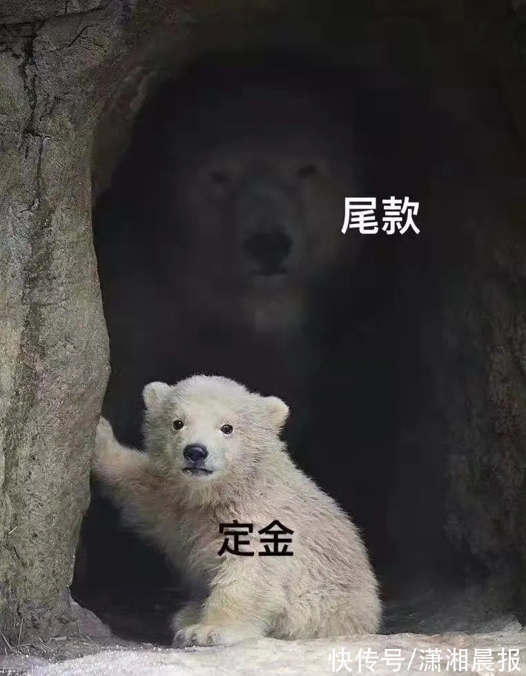 崔女士|李佳琦、薇娅销售额又创纪录！网友直呼不识数，你的钱包还好吗？