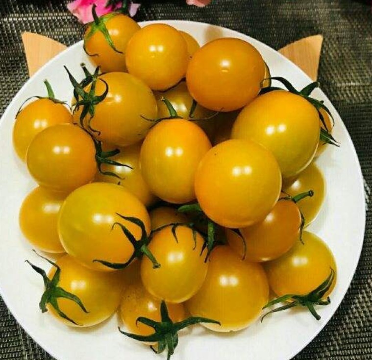 鸡毛菜|常见水果上市的季节,多吃应季蔬果,对身体有好处