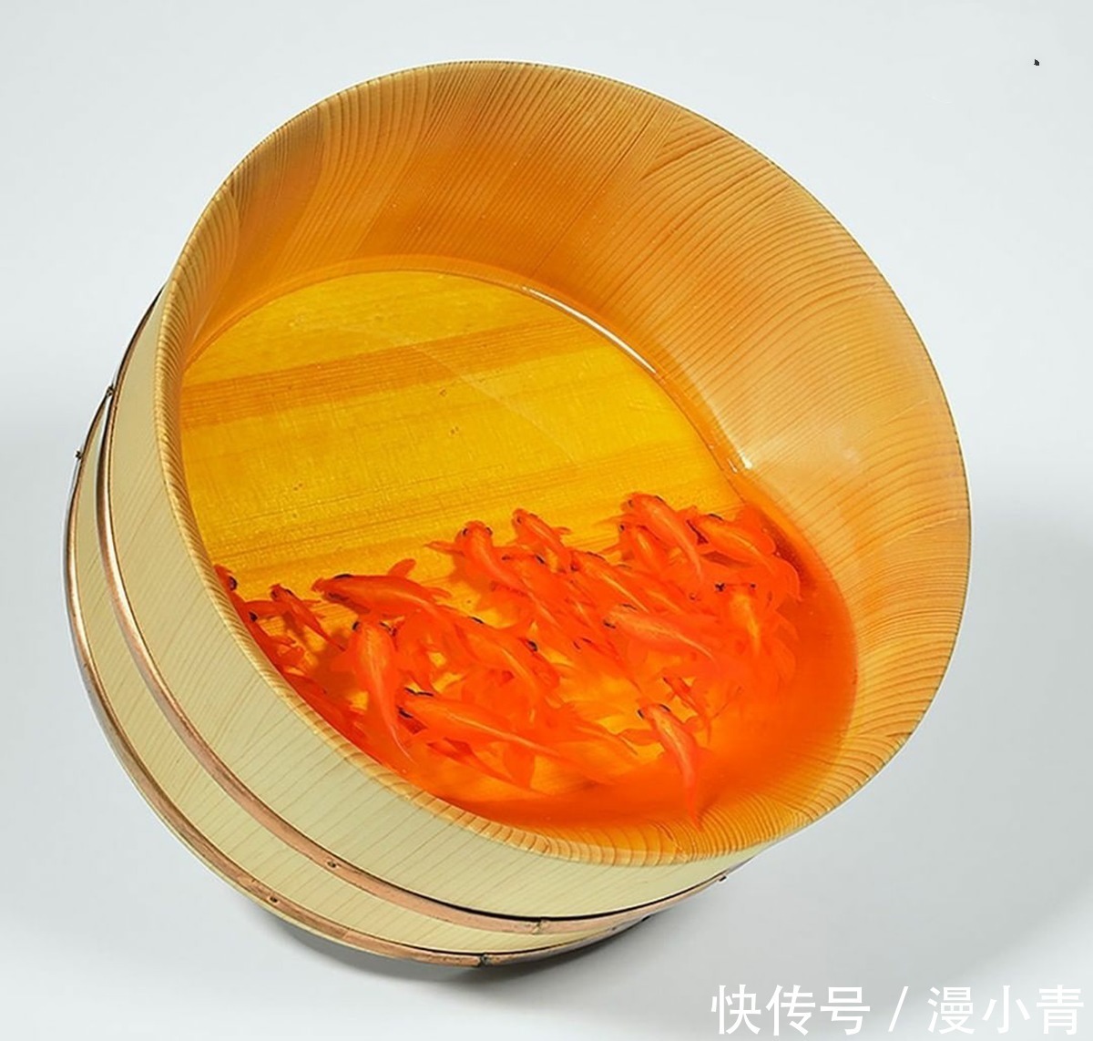 绘画@画师用特殊手法画出堪比三次元的金鱼,不告诉你真相,你能发现吗