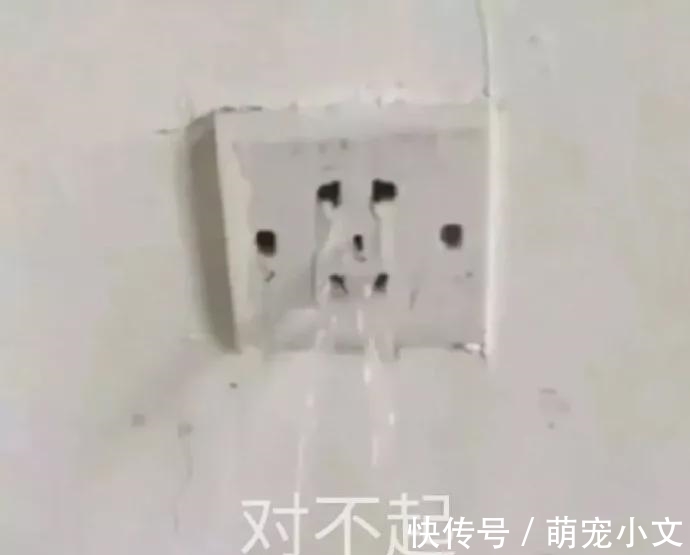 下班累瘫就吃它,一蒸就搞定!低脂健康比肉还好吃!