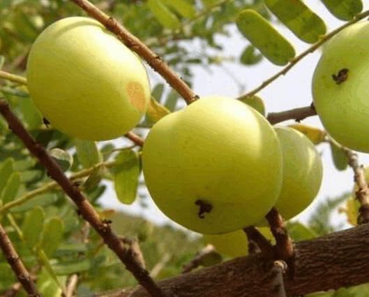 养颜|中年人不妨多吃3种食物，排毒养颜、滋润身体，早吃早好！