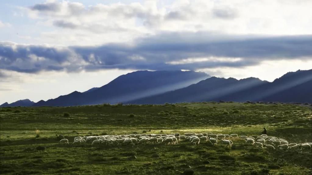 对不起|推荐丨对不起,别再找我,我要去阿拉善了