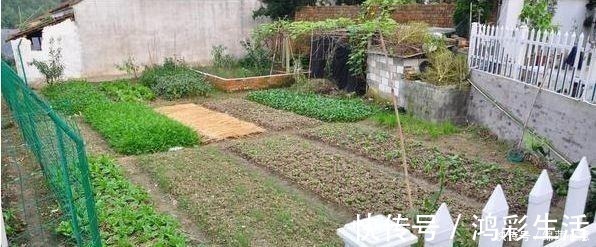 罗马柱|晒我的农村别墅,有花园有“泳池”,朋友都说堪比“世外桃源”!