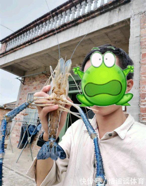 河虾|福建钓鱼人，闽江钓起罕见“巨虾”，身长近一米