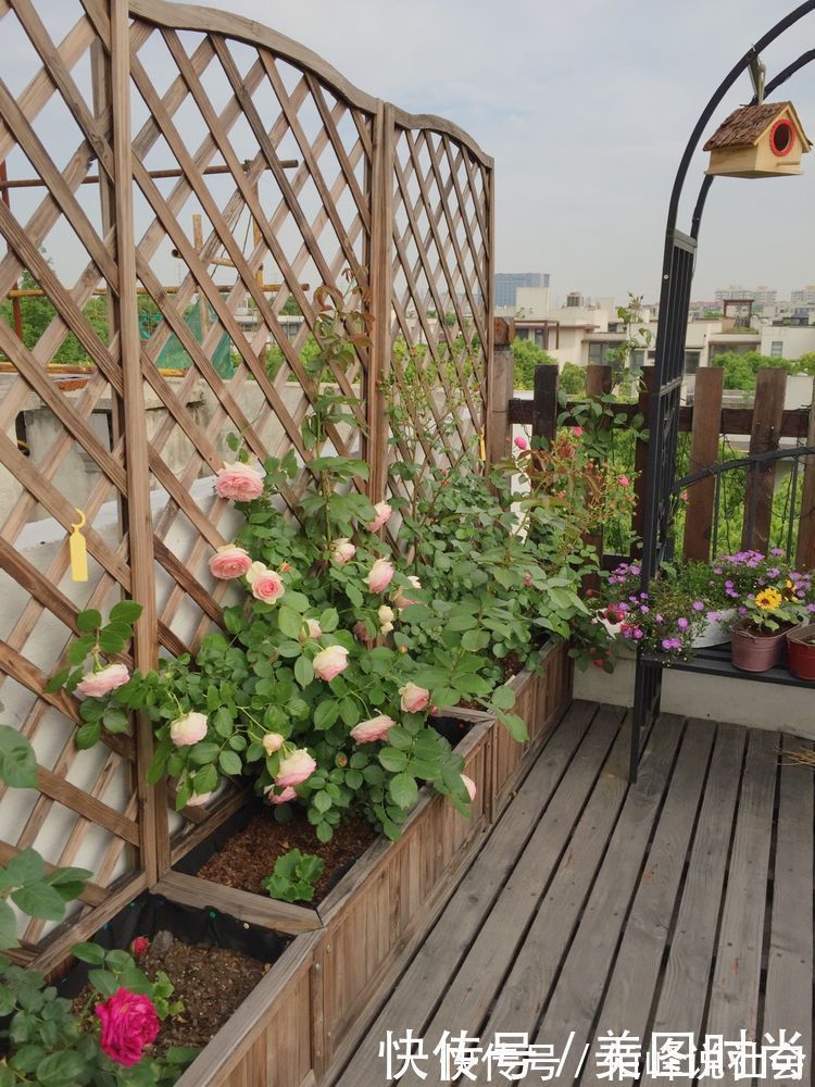 13㎡屋顶造花园,在喧嚣城市里,打造一个自己心灵深处的伊甸园