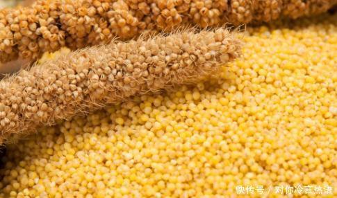 忽略|小米营养丰富,养血又催眠,但要注意“2不”,很多人却忽略了