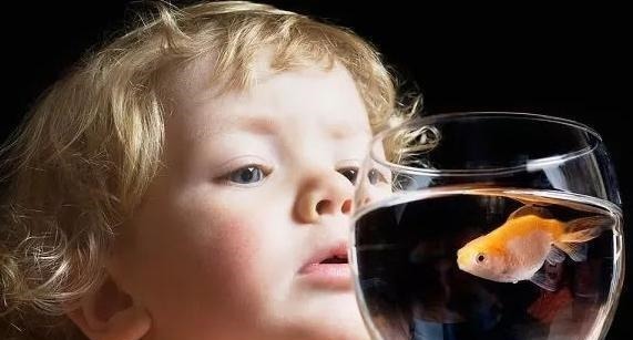 陶行知|孩子有这3个“怪癖”,暗示他智商会很高,妈妈别逼着孩子改