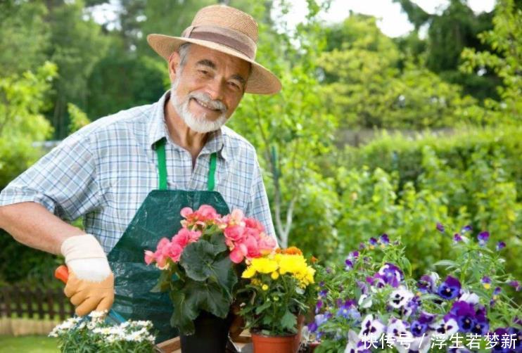 身心健康|多动脑才能不痴呆看图猜成语,猜对8个以上大脑就很健康
