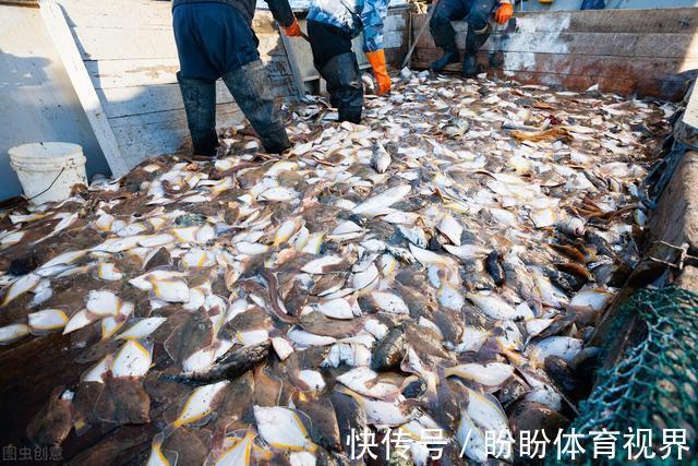 美味|海鲜市场这7种鱼，人工养殖难度大，遇到买几条享受纯天然美味
