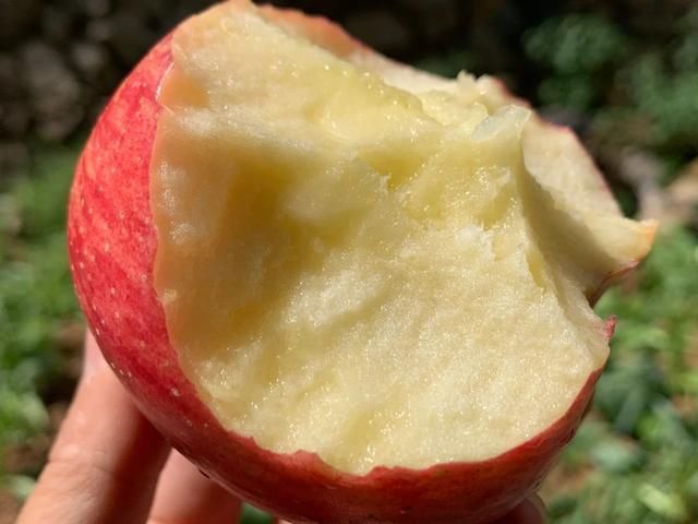 果肉|建议中老年人小暑前后,若条件允许,这5种水果每天可多吃一点