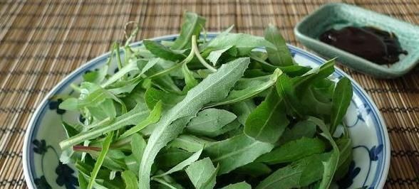 个个|7种农村常见的野菜,个个都是治病的“良药”,你吃过几个