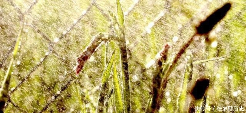 刘伯温的这首七绝咏雨诗,也是难得的佳作,整首诗充满了诗情画意