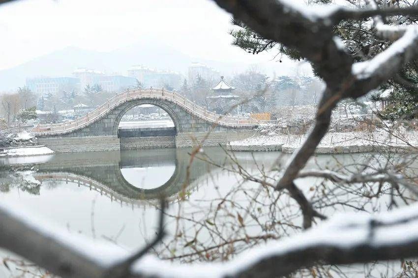 初雪中的济南南郊宾馆|镜头下 | 初雪