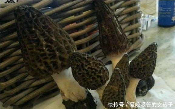 旅游瞎拍竟发现一片皱巴巴东西,一查竟是满满的财富!