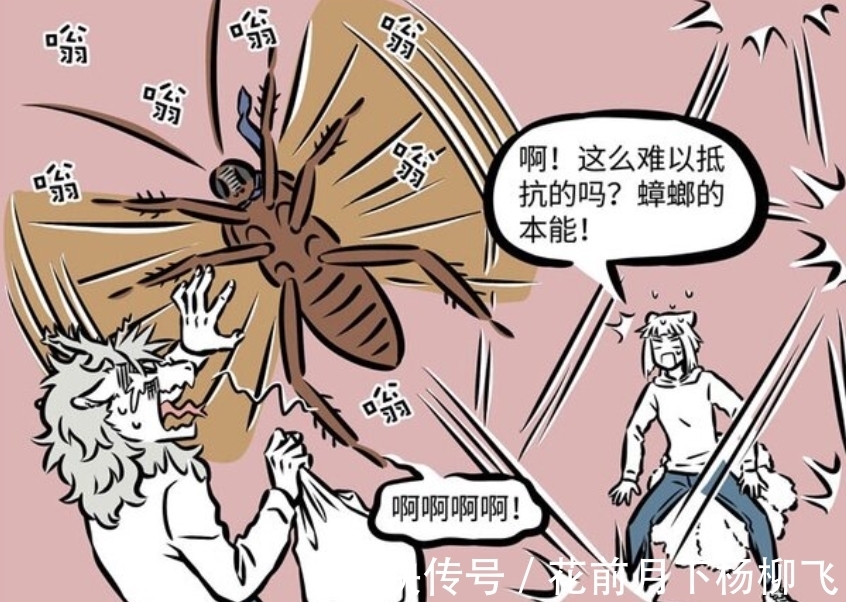 萨姆沙|非人哉:超大蟑螂入侵公司,吓哭哮天和烈烈,只有九月很淡定