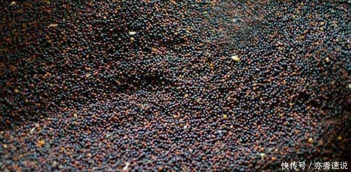 古代人怎么洗头发?这种方法虽然恶心,但是可以治脱发