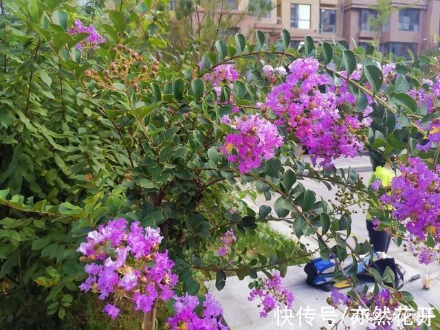 好的故事&故事写作:精彩故事的五个标准