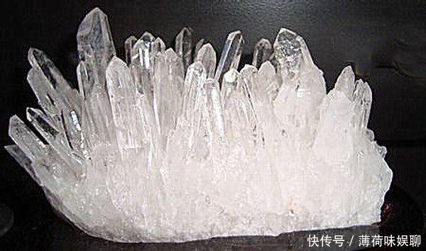 危害|鸡精和味精哪一个对身体的危害大?它的危害才是最大的,少吃啊!