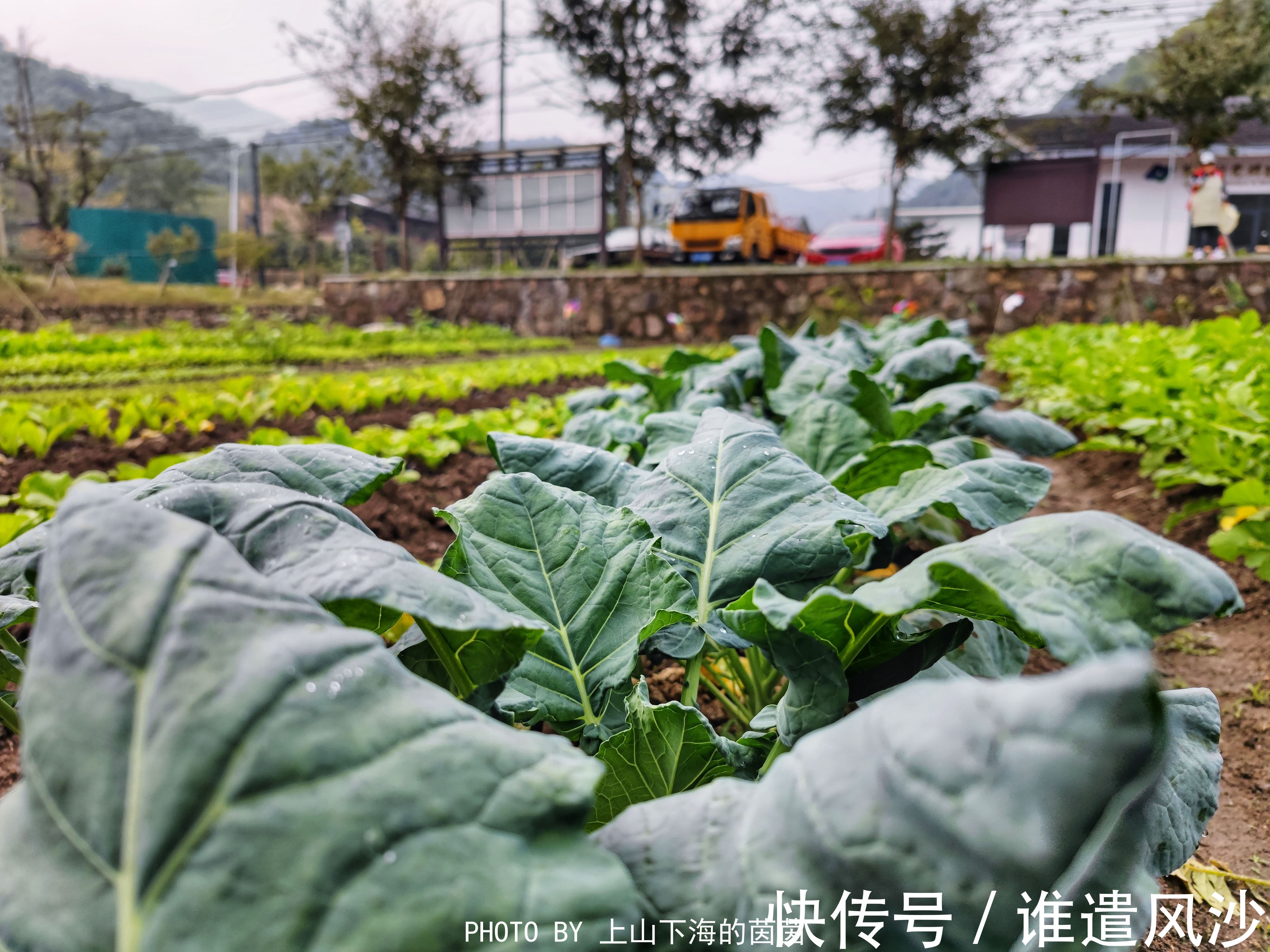 静心酒店|走进莫干山治愈系民宿，在禅意满满天真乐元静心酒店遇见最真自己