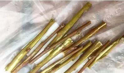 5种东西放进花盆,你的花也会像邻居家的花一样越长越“旺”