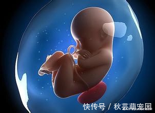 体重|孕晚期最后一个月胎儿还会长吗？还会长多少？
