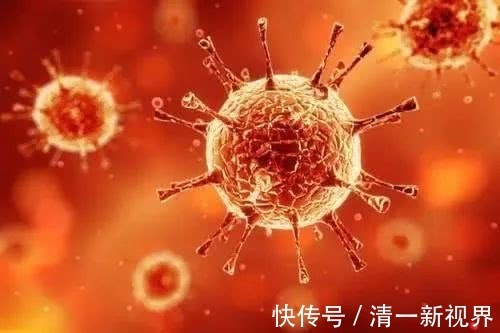 泡水|现在才知道,蒲公英不能随便泡水喝,三个问题要注意,别犯错!