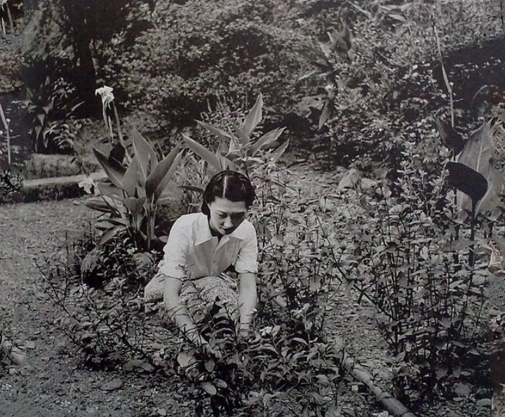 小姐|张学良拍摄的赵四小姐照片：在山中小溪垂钓，坐在藤椅上涂指甲油