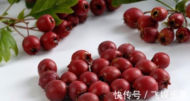 张锡纯|血瘀百病生!吃这2物,活血化瘀、美容养颜、防结节